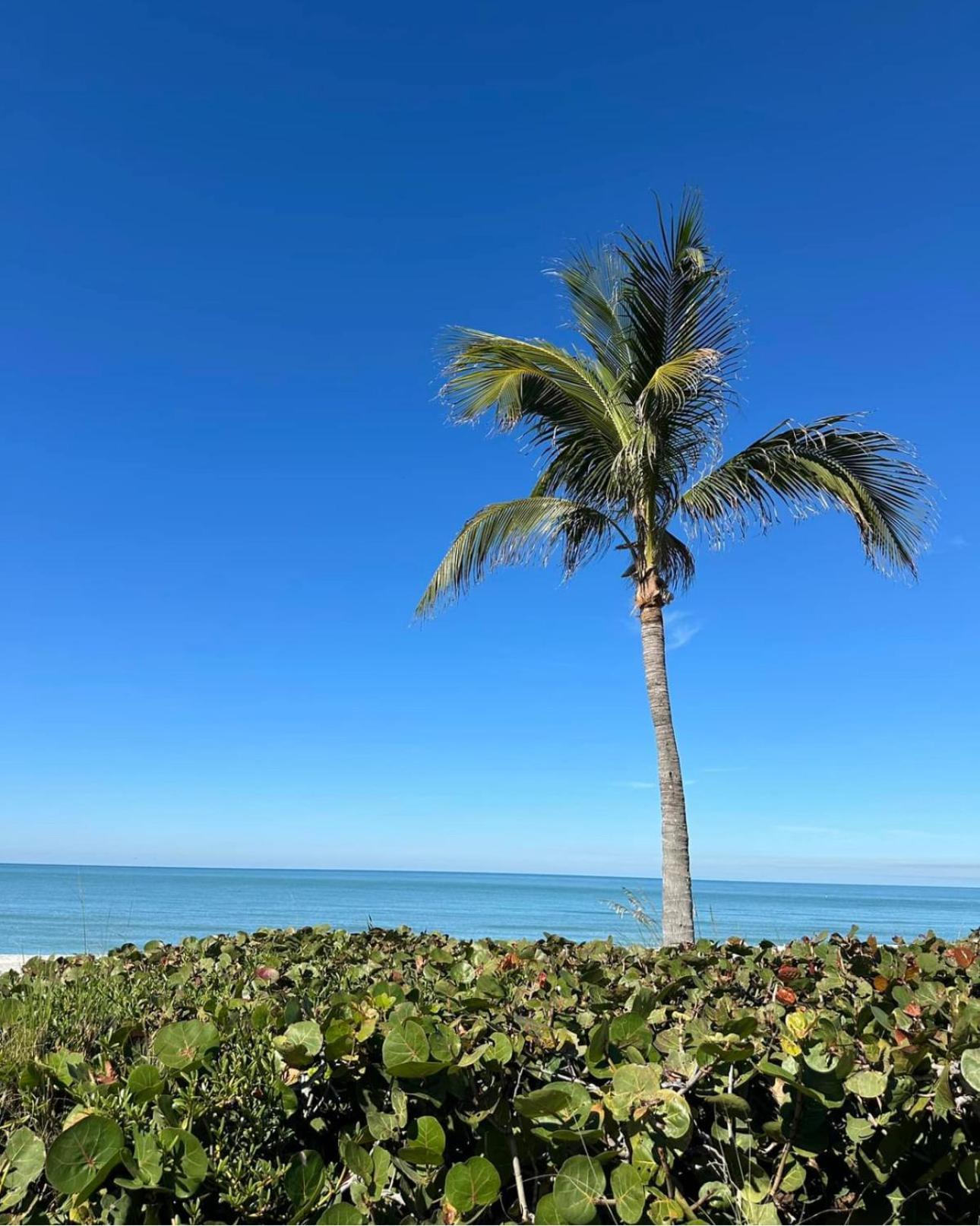 Captiva Island Captiva Bayside Villas 1 Bedroom 2 Bath - Sleep 4 מראה חיצוני תמונה